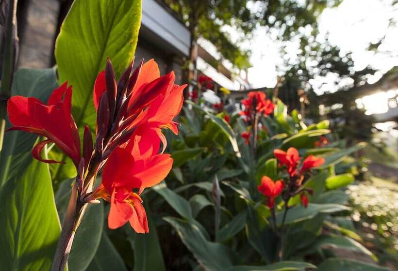 Heri Heights Hotel Apartments, Surestay Collection By Best Western