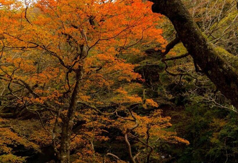 فندق Hakone Nanase Formerly Known As Manatei Hakone