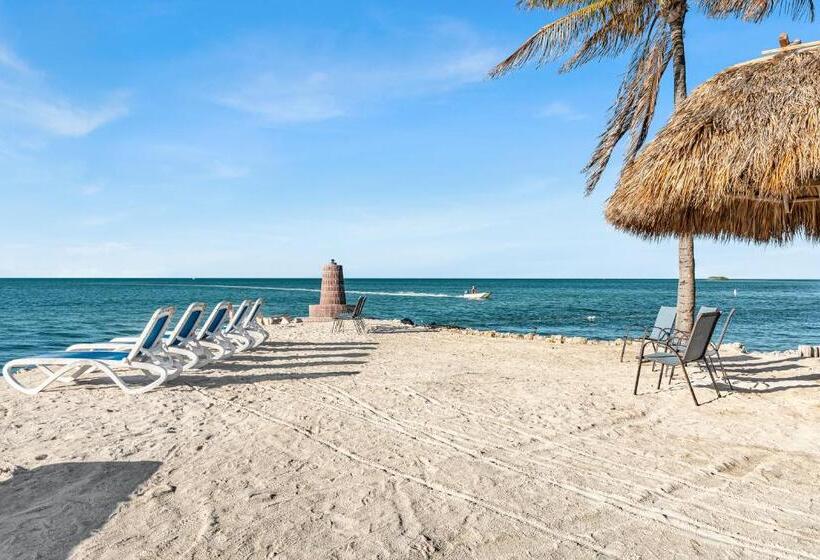 فندق Blackfin Resort And Marina