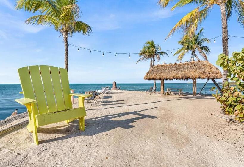 فندق Blackfin Resort And Marina