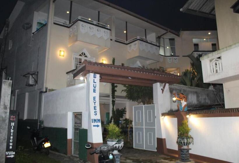 酒店 Blue Eyes Inn