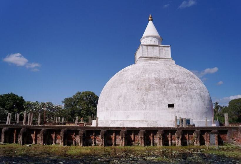 Отель Blue Turtle