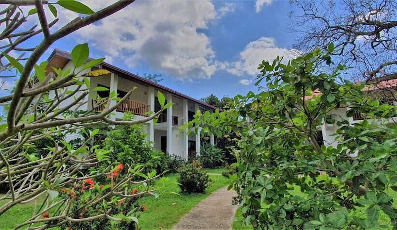 Отель Blue Turtle