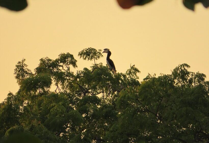 Отель Blue Turtle