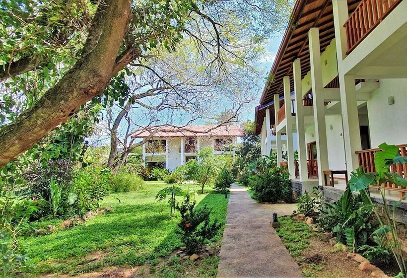 Отель Blue Turtle