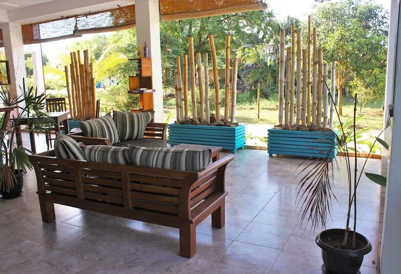 Отель Blue Turtle