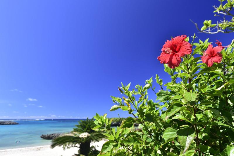 Отель Breeze Bay Marina