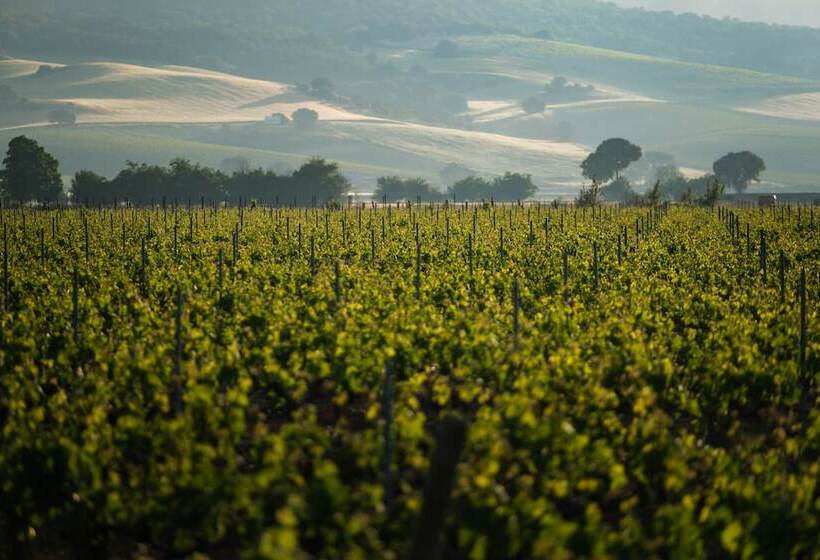 בית מלון כפרי Castilla Termal Monasterio De Valbuena