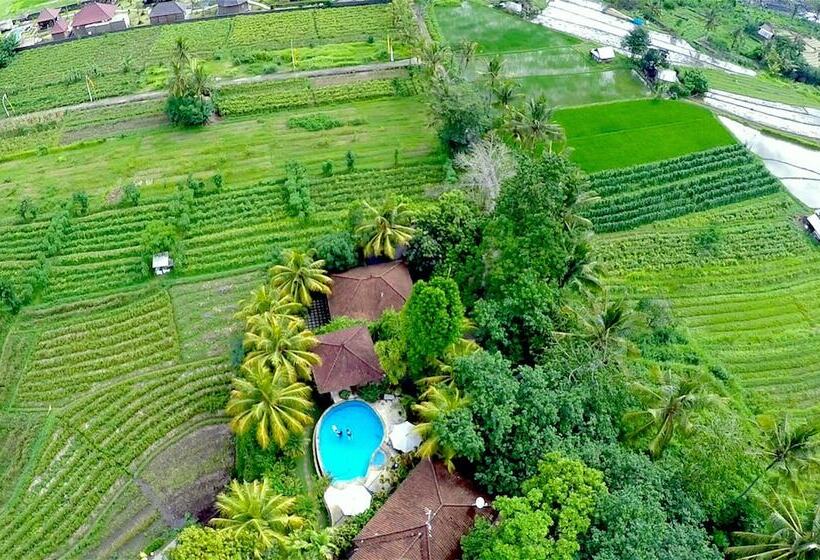 בית מלון כפרי Cepik Villa Sidemen