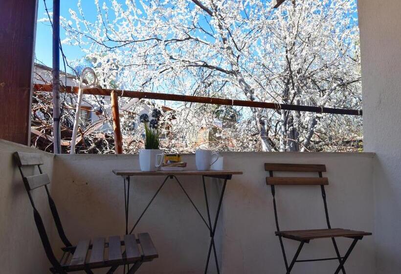 酒店 Christys Palace