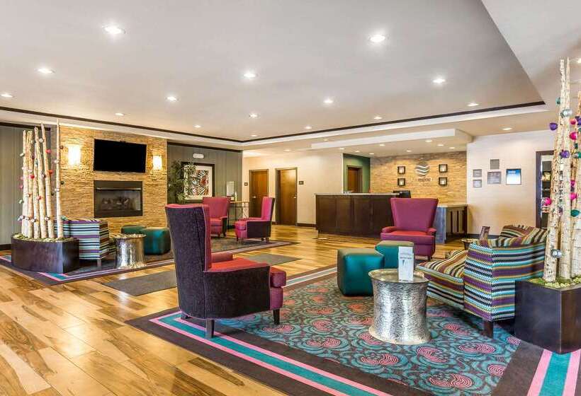 فندق Comfort Inn & Suites Newcastle  Oklahoma City