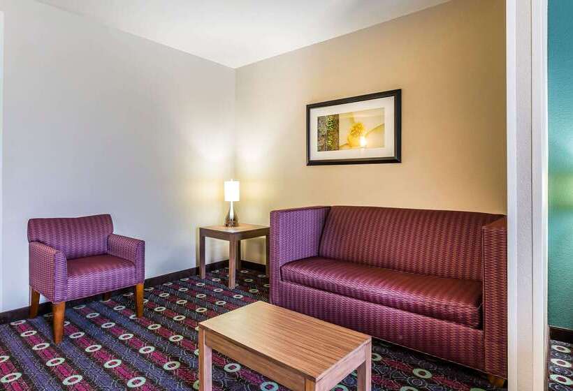 فندق Comfort Inn & Suites Newcastle  Oklahoma City