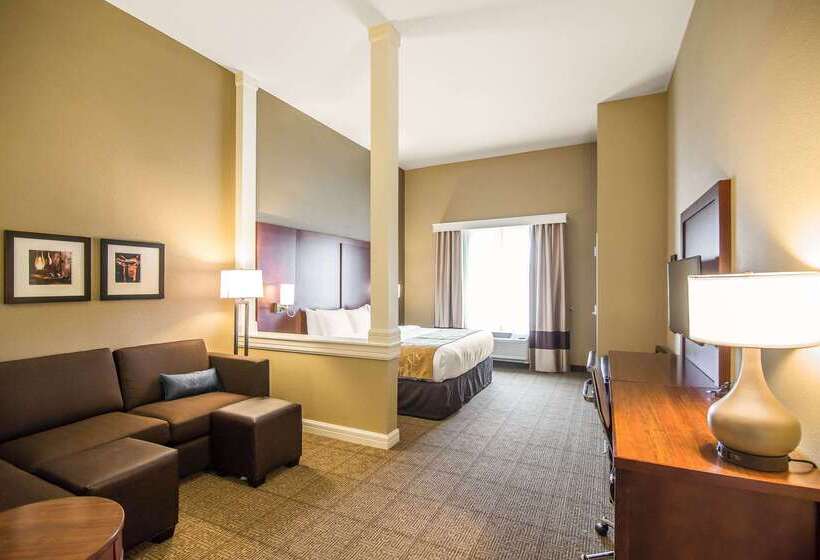 هتل Comfort Suites   Dodge City