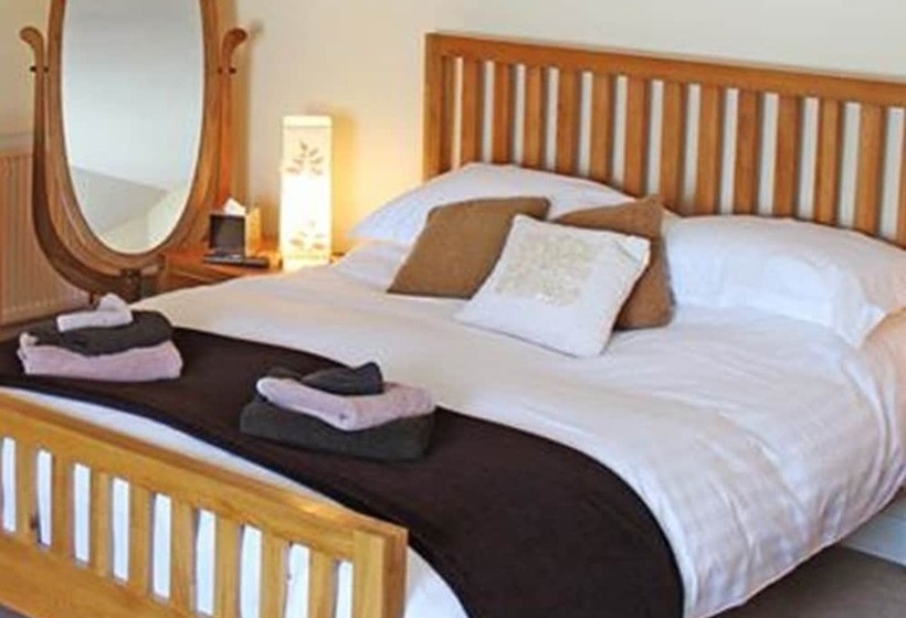 Отель The Dolphin Tavern