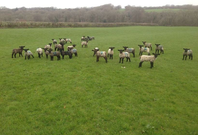 호텔 East Hook Farm & Country House