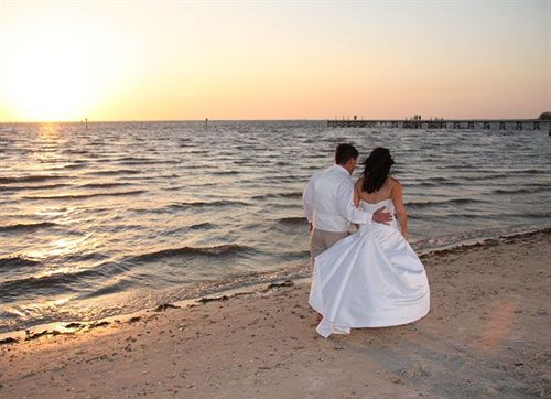 فندق Harborside Suites At Little Harbor