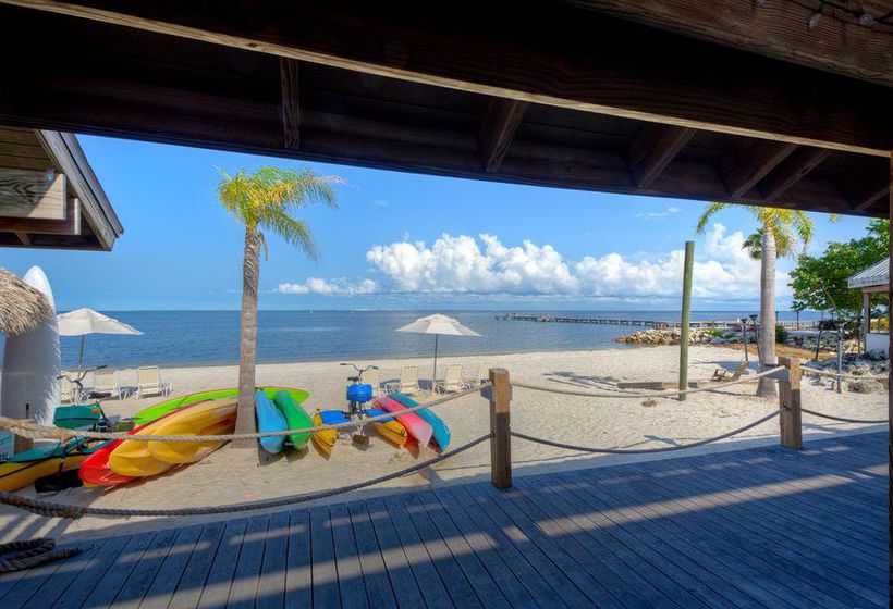 فندق Harborside Suites At Little Harbor