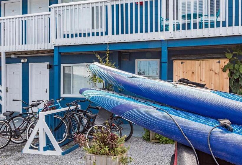 فندق Haven Montauk