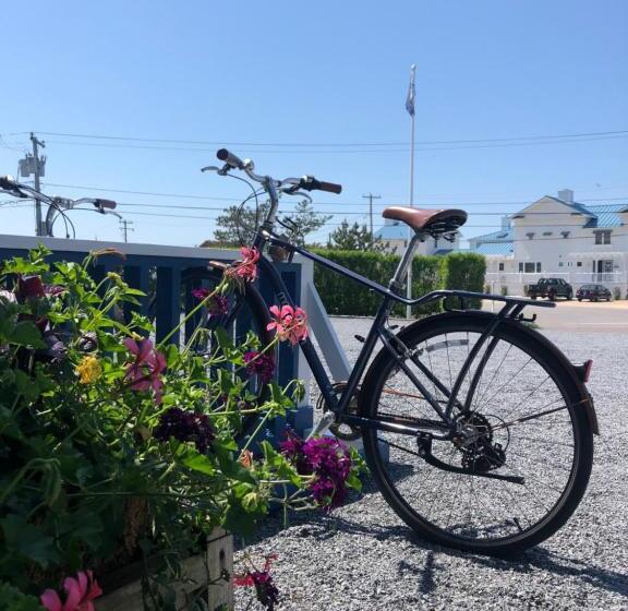 فندق Haven Montauk