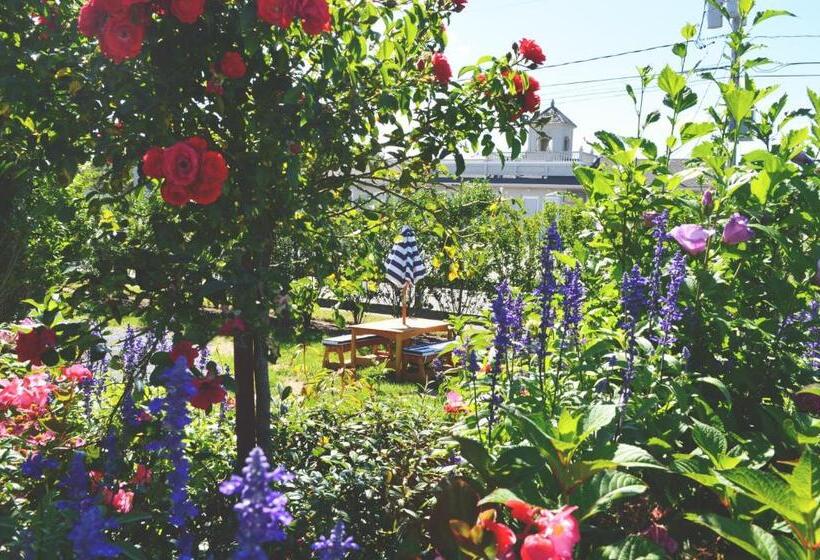 فندق Haven Montauk