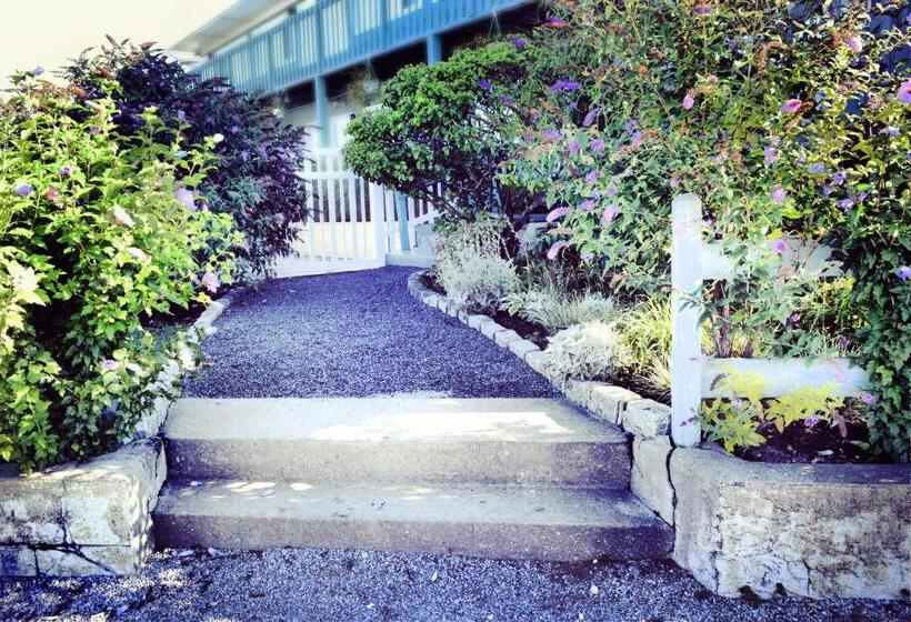 فندق Haven Montauk