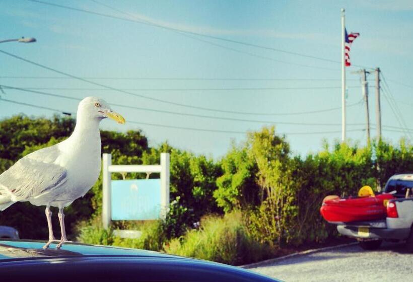 فندق Haven Montauk