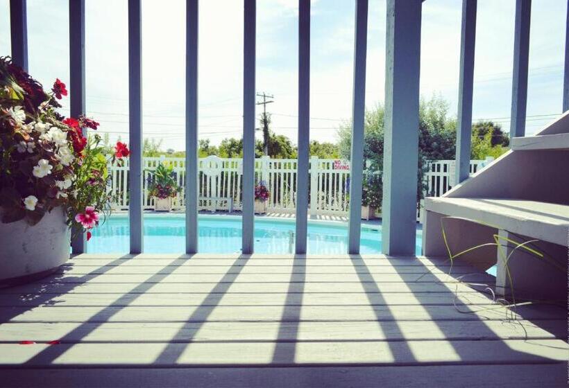 فندق Haven Montauk