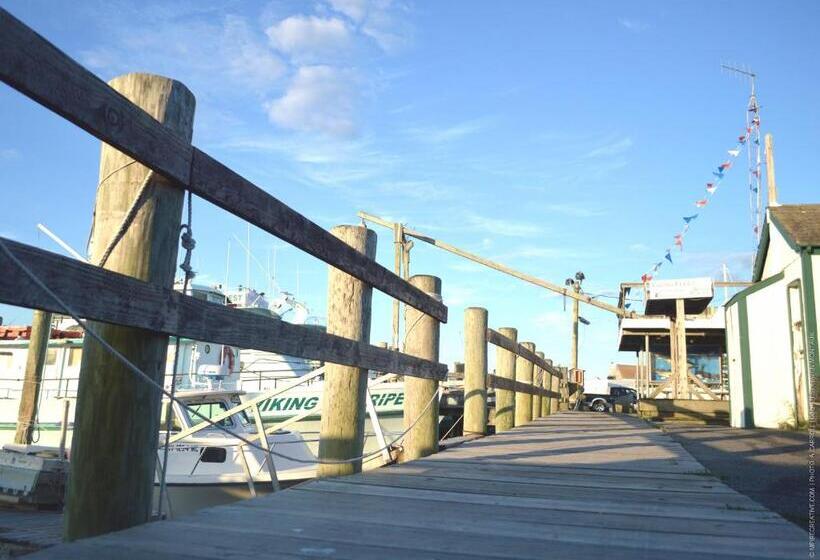 فندق Haven Montauk