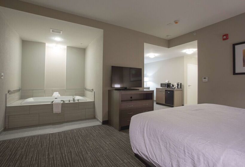 فندق Hilton Garden Inn Bolingbrook I 55