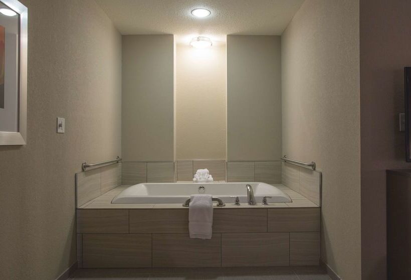 בית מלון כפרי Hilton Garden Inn Bolingbrook I 55