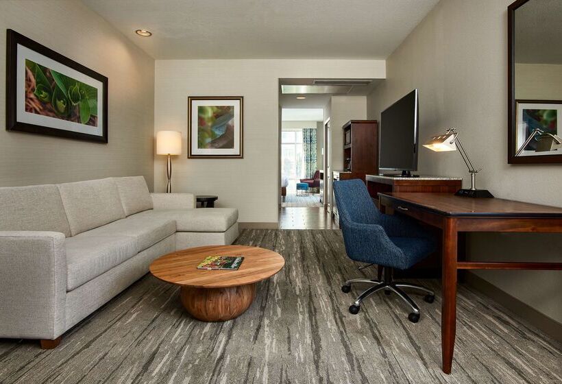 هتل Hilton Garden Inn Nashville Downtown/convention Center