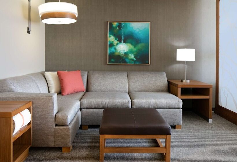 فندق Hyatt Place Kansas City Lenexa City Center