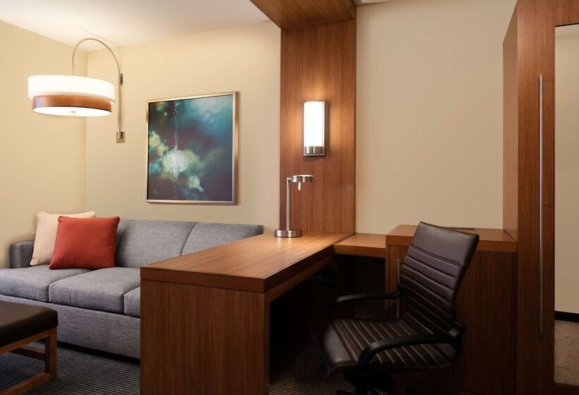 فندق Hyatt Place Kansas City Lenexa City Center