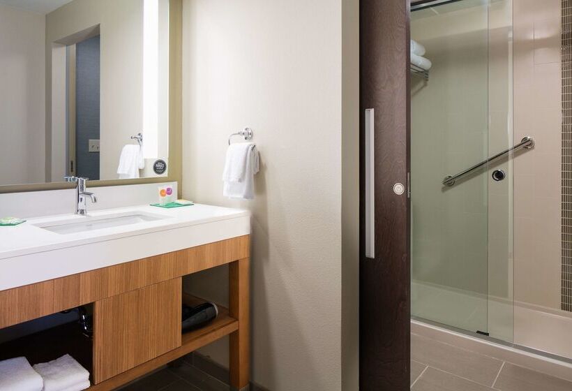 فندق Hyatt Place Kansas City Lenexa City Center