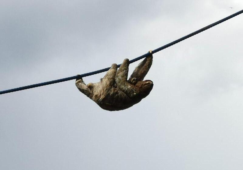 Jungle Beach Hotel Manuel Antonio