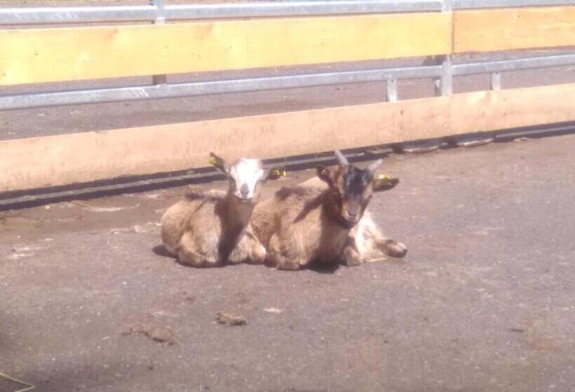 酒店 Landschloss Ernestgrün