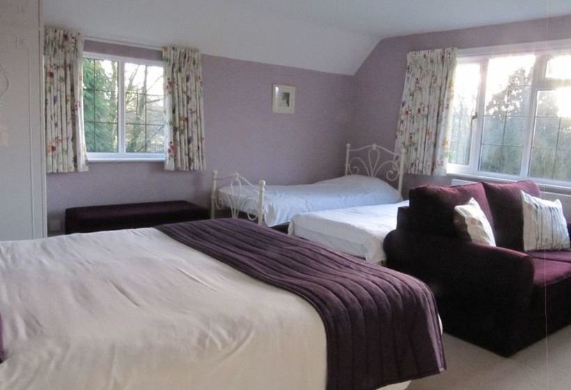 Отель Little Forest Lodge