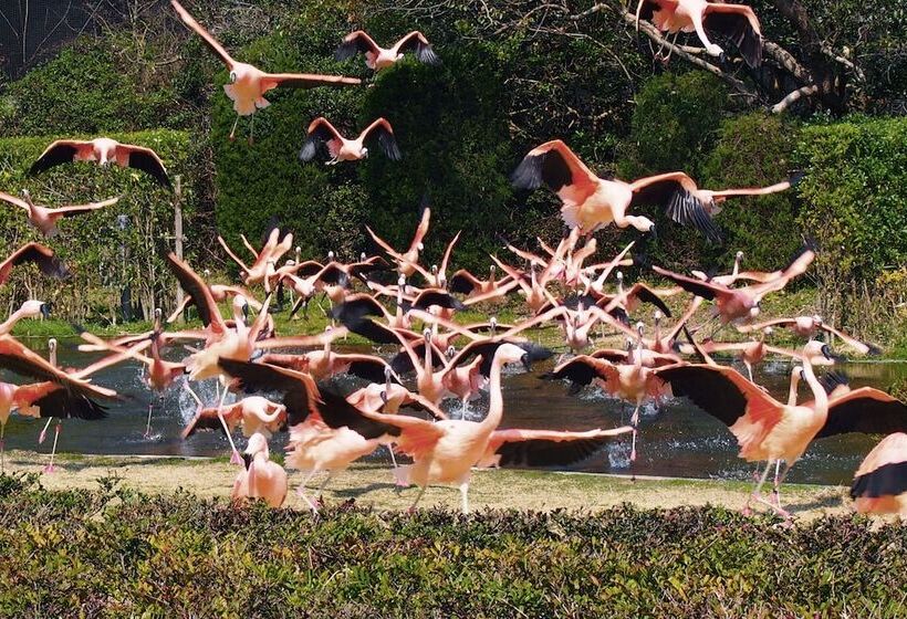 בית מלון כפרי Mystays Miyazaki