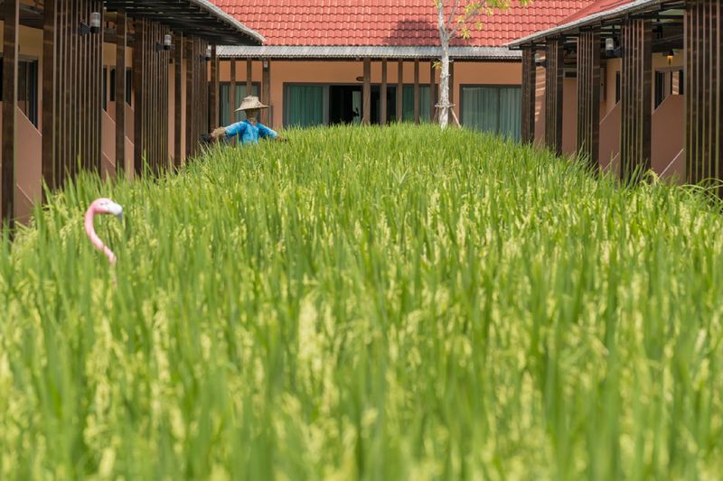 Hotel Naina Resort & Spa   Sha Extra Plus