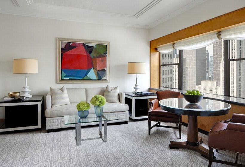 فندق The Towers At Lotte New York Palace