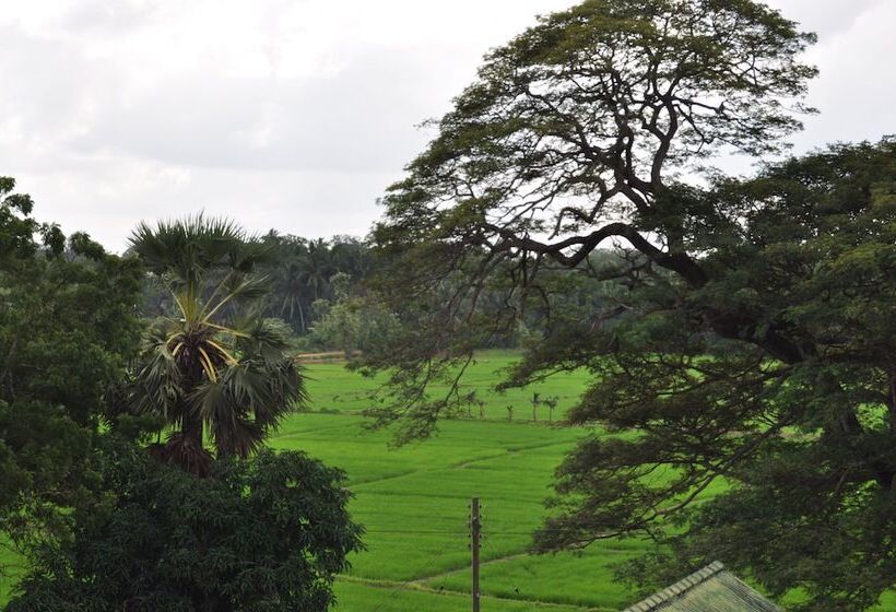 호텔 Nilketha Villa Eco