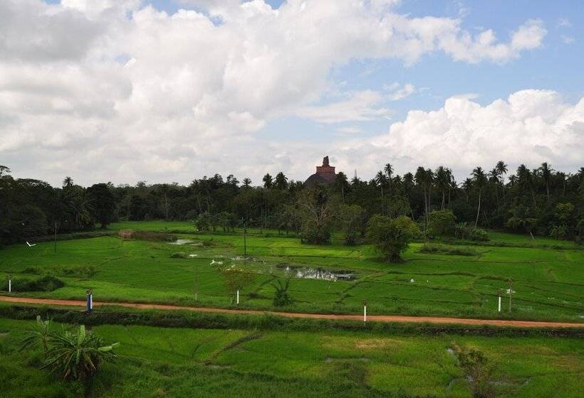 호텔 Nilketha Villa Eco