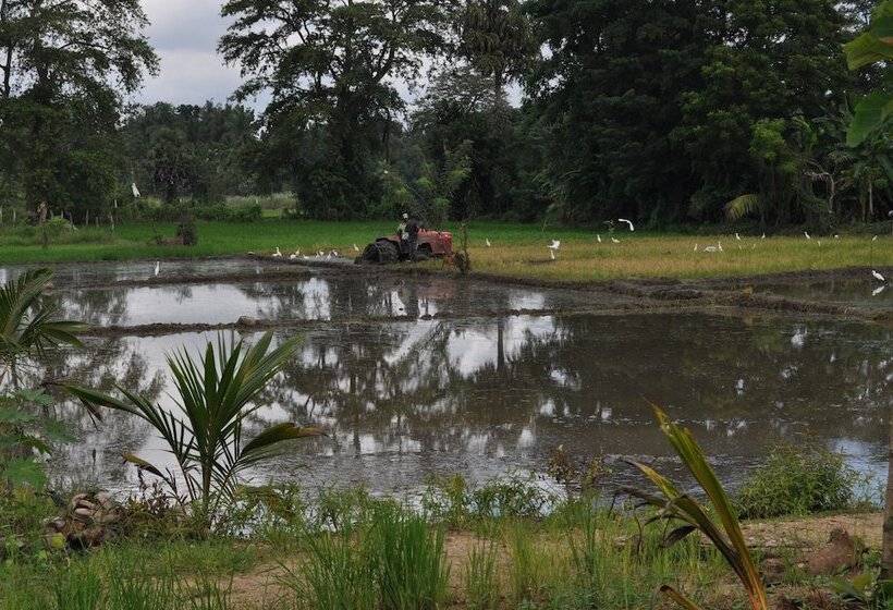 호텔 Nilketha Villa Eco