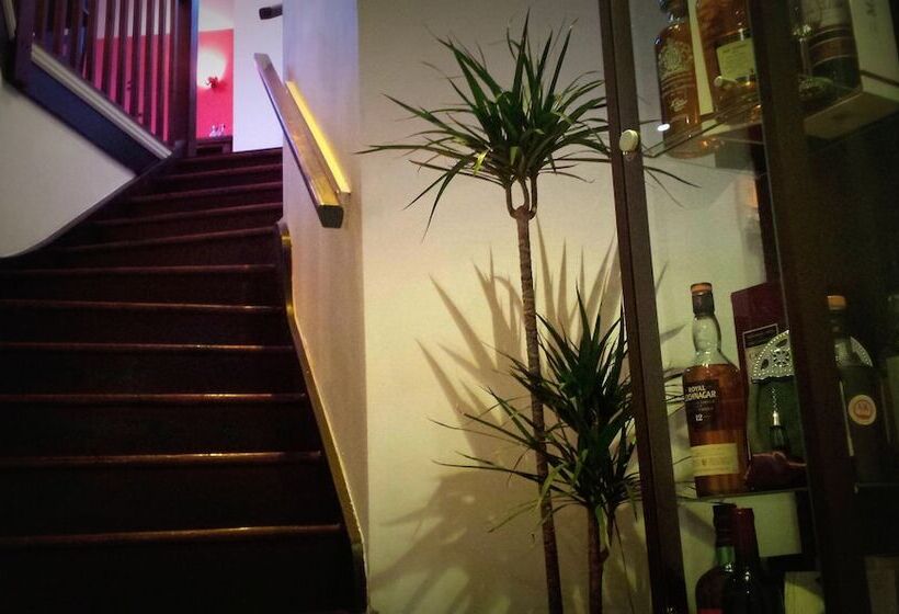 Отель Robin 7 Lodge City Centre