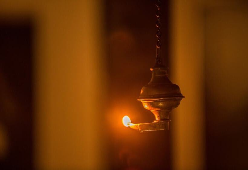 ホテル Roman Lake Ayurveda Resort