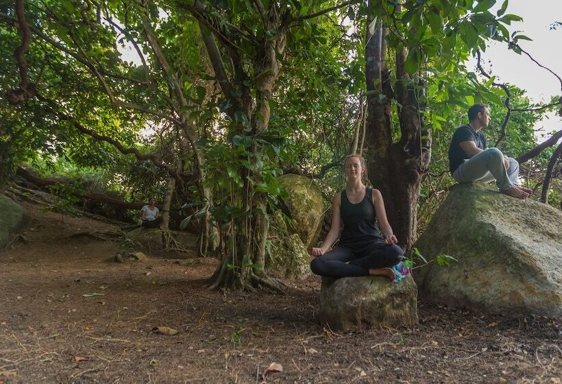 ホテル Roman Lake Ayurveda Resort