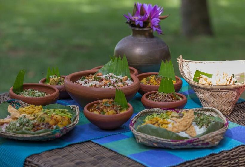 ホテル Roman Lake Ayurveda Resort