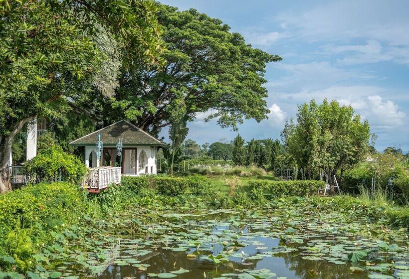 Отель Rosario Oasis Resort   Sha Plus