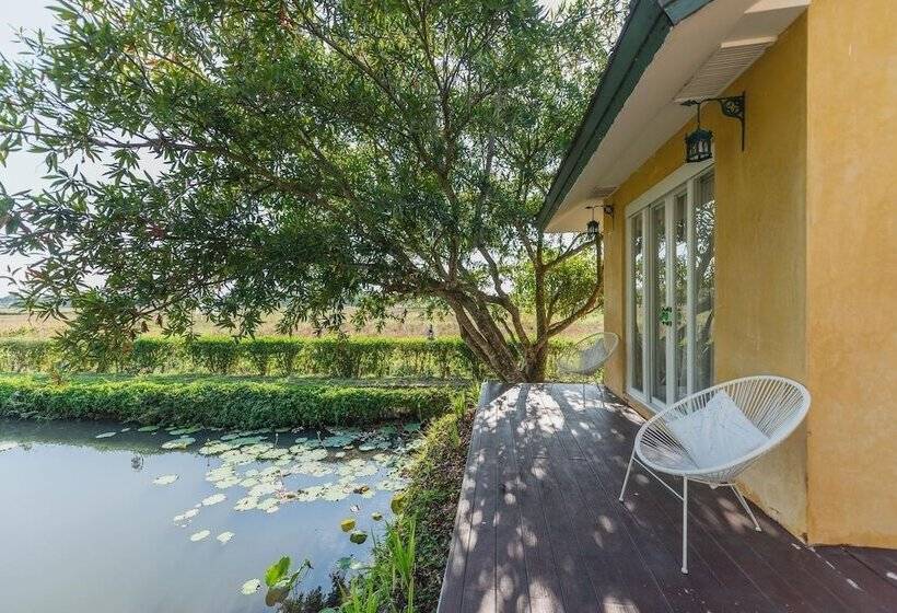 Отель Rosario Oasis Resort   Sha Plus