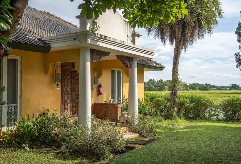 Отель Rosario Oasis Resort   Sha Plus